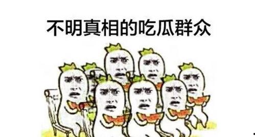 娱乐精神吃瓜群众,吃瓜群众围观年度大戏